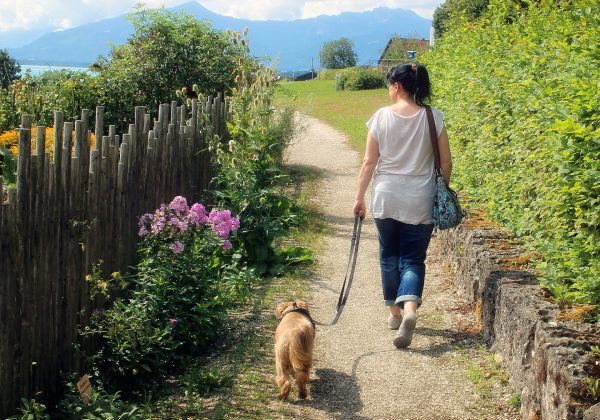 בעלי כלבים, שימו לב: טיפים לטיול מוצלח עם הכלב